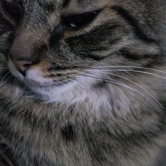 Meet your Posher, David - Picture 1 of 1